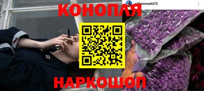 гидра Бузулук