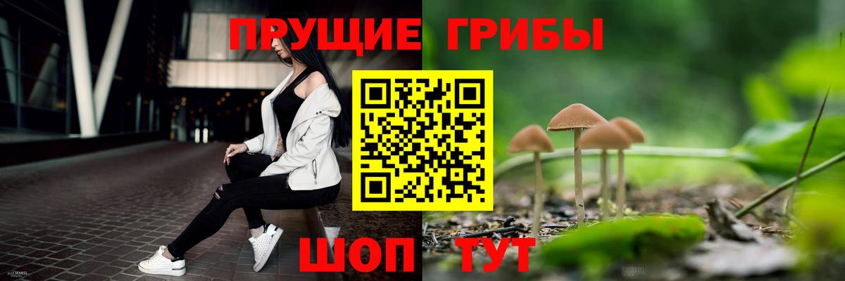 Ростов-на-Дону  Псилоцибиновые грибы ЛСД  хочу   Вход с VPN 